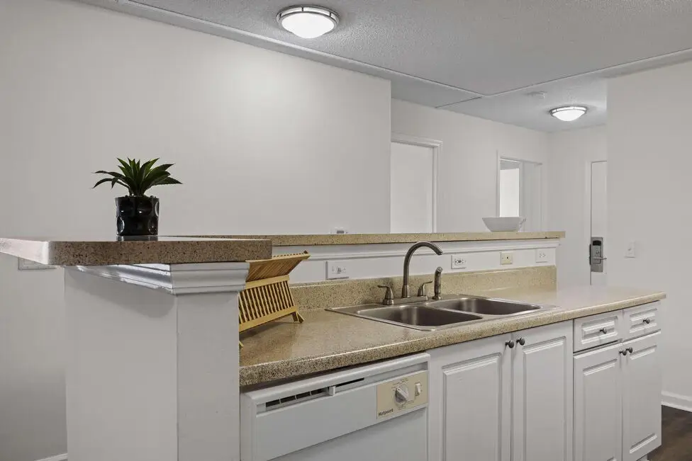 1540 Place modern kitchen design - MTSU off campus housing